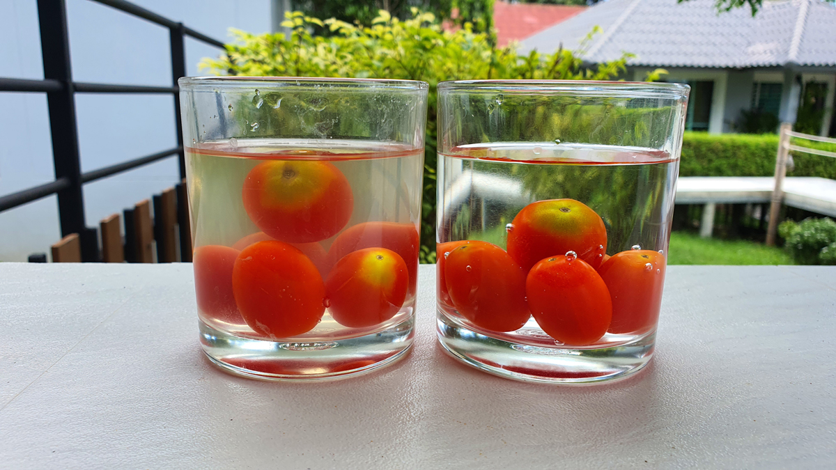 Best Ultrasonic Fruit and Vegetable Purifiers