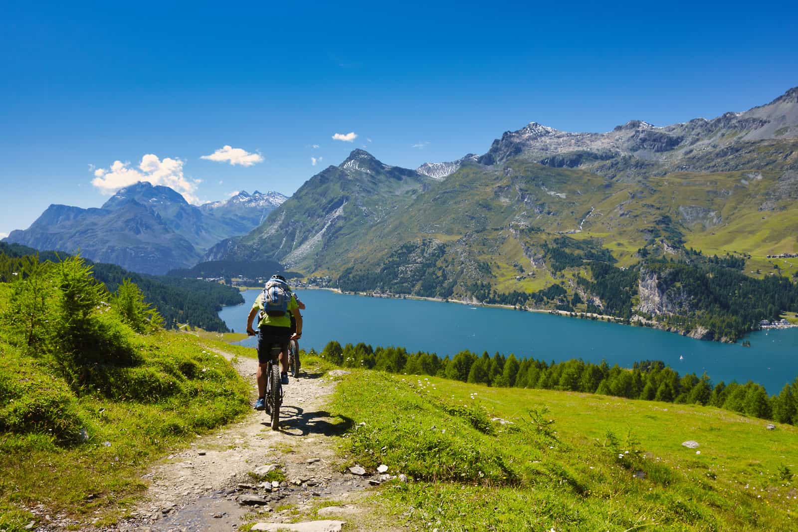 best dtc mtb brands