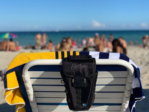FlexSafe Review