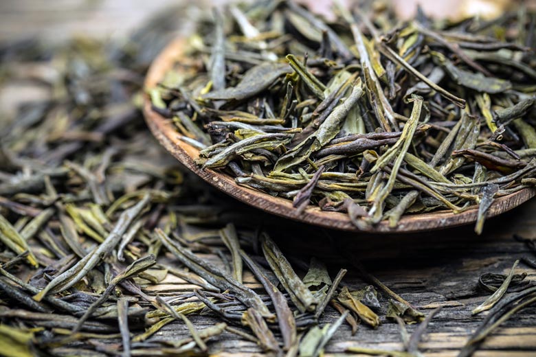 Green-tea-extract