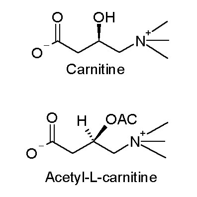 Acetyl L-Carnitine: