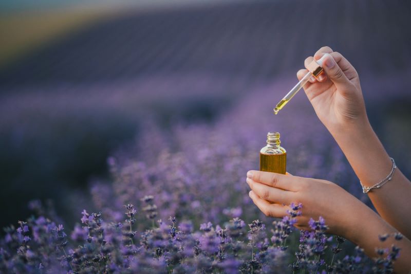 lavander oil
