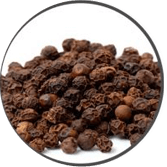 bioperine
