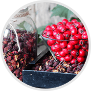 hawthorn-berry
